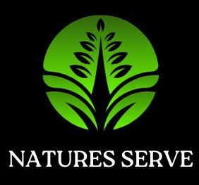 naturesserve.in/palm products